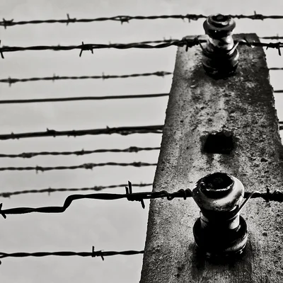 deportati in arrivo a auschwitz