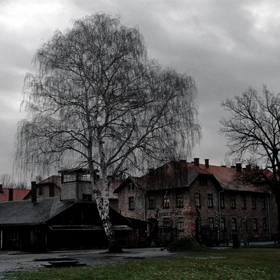 Reportage Auschwitz 01