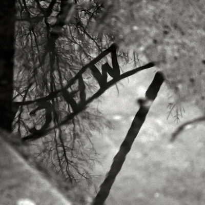 Reportage Auschwitz 02