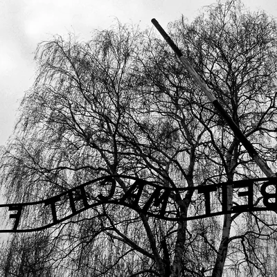 Reportage Auschwitz 03