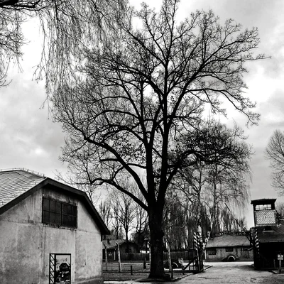 Reportage Auschwitz 04