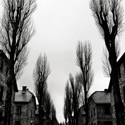 Reportage Auschwitz 07