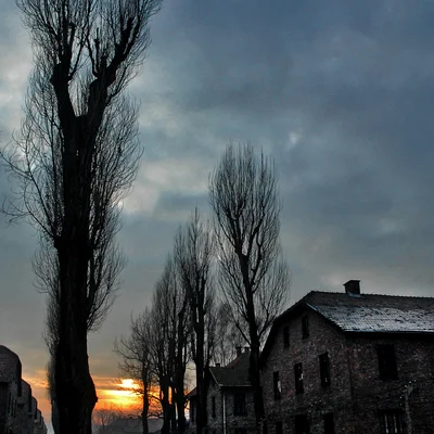 Reportage Auschwitz 09