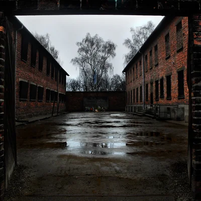 Reportage Auschwitz 29