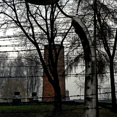 Reportage Auschwitz 30