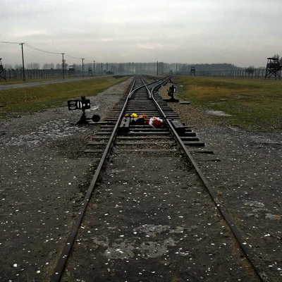 Reportage Auschwitz 50