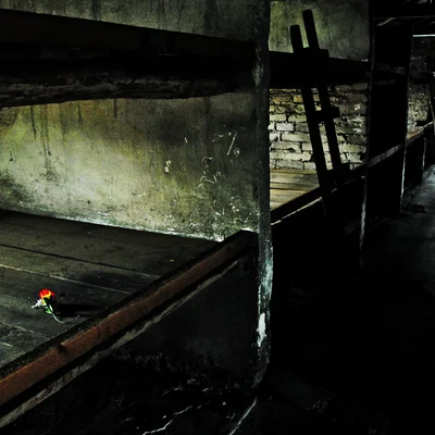 Reportage Auschwitz 54