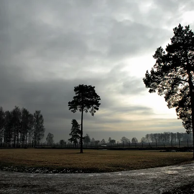 Reportage Auschwitz 58