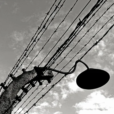 Reportage Auschwitz 60