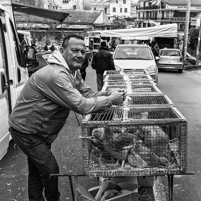 Country market 10