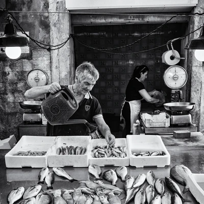 Country market 13