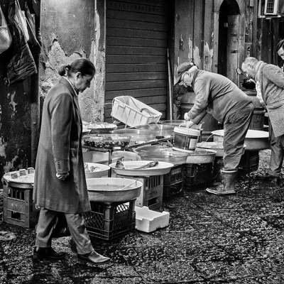 Country market 16