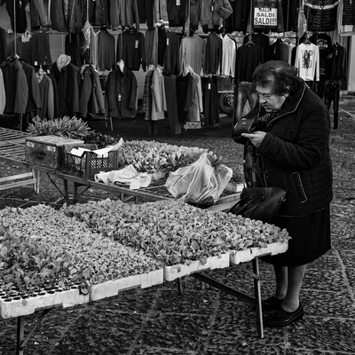 Country market 38