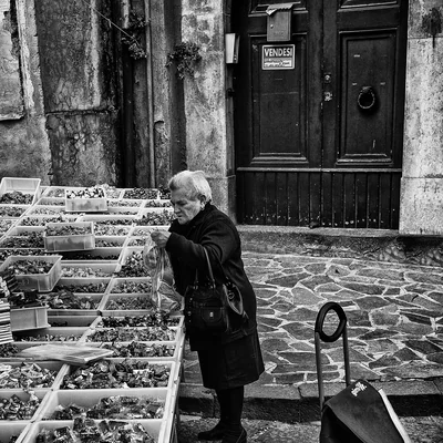Country market 58