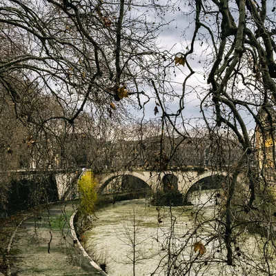 Landscapes 021