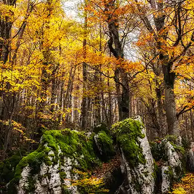 Landscapes 026