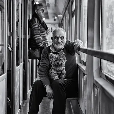 Train