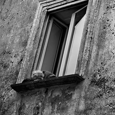 Windows 01