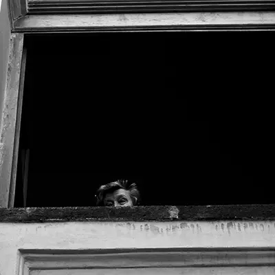 Windows 014